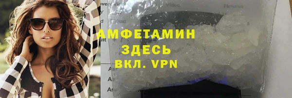 дурь Ельня