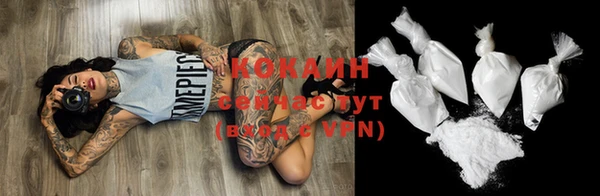 дурь Ельня