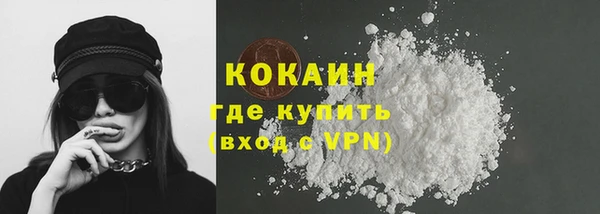 дурь Ельня