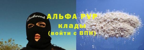 дурь Ельня