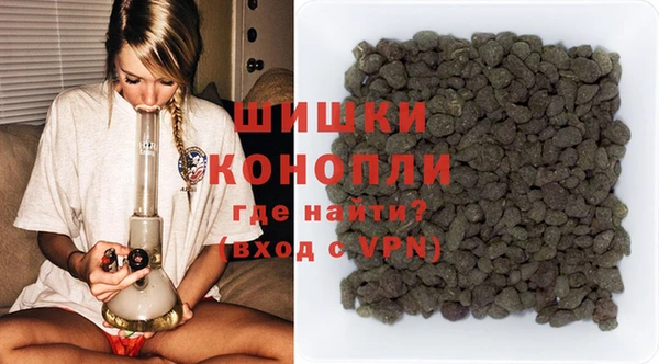 дурь Ельня