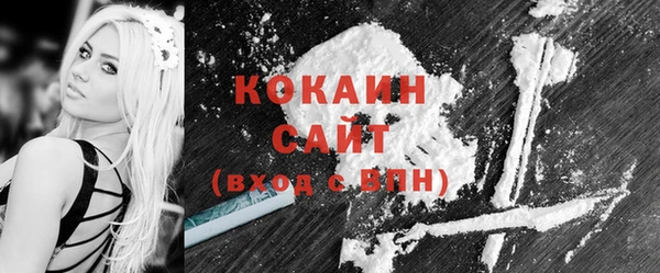 ешки Елизово