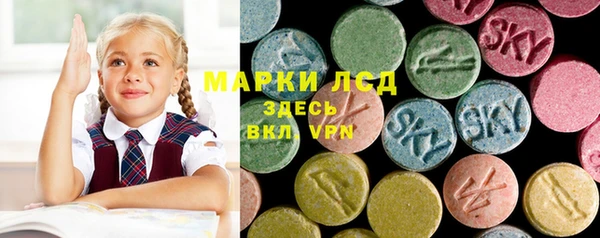 прущие грибы Дмитровск