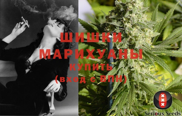 дурь Ельня