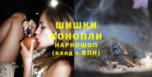 дурь Ельня