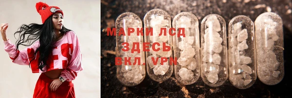 мяу мяу мука Чегем